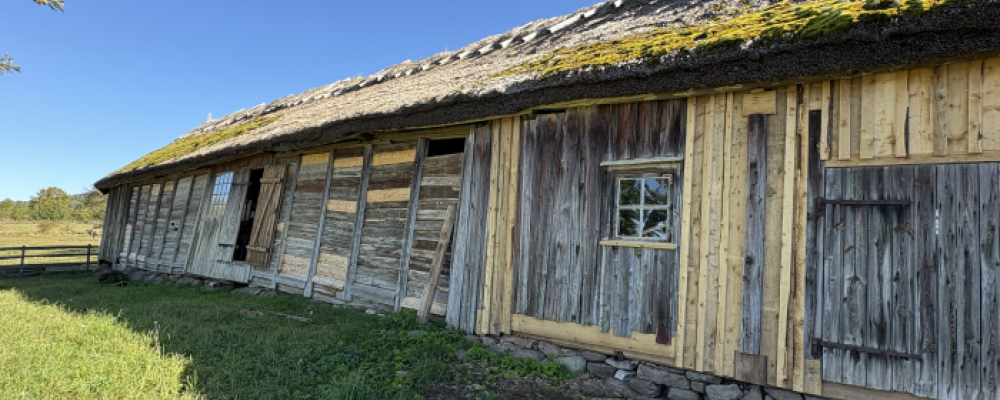 Timmermansarbete Heljesgården, Västergötlands museum. Fotograf/Källa: Maria Åhgren / Riksantikvarieämbetet (CC BY)