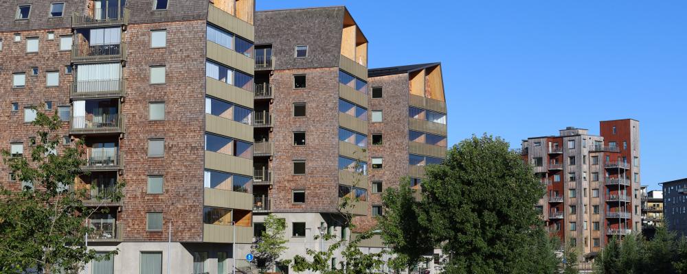 Trähus. Pressbild: Växjö Linnæus Science Park AB