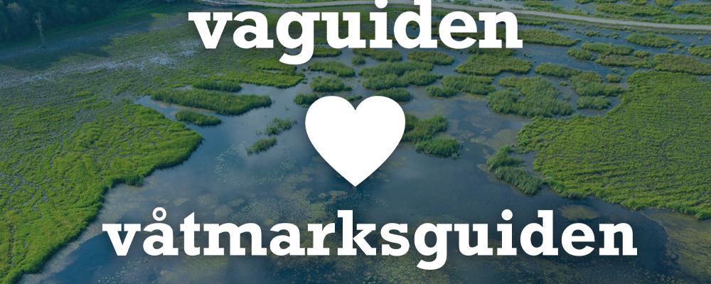 Idén till Våtmarksguiden kom från WRS och Sören Eriksson vid Hushållningssällskapet. Med webbtekniskt stöd från Bild & Kultur lanserades webbplatsen våtmarksguiden.se under 2013. Våtmarksguiden har sedan dess byggts upp genom flera projekt, med stöd från staten och EU-finansiering i olika omgångar. Bild: VA-guiden