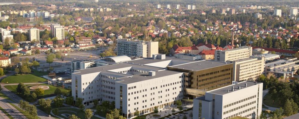 Visionsbild: Region Västmanland. Link Arkitektur. Carlstedt Arkitekter. TMRW.