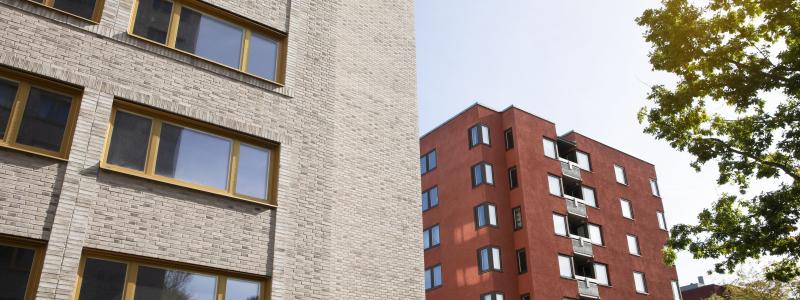 Studentbostadsområdet Lappkärrsberget i Stockholm. Foto: Stockholms studentbostäder