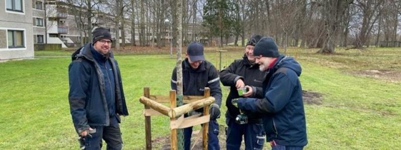 Pressbild: GotlandsHem