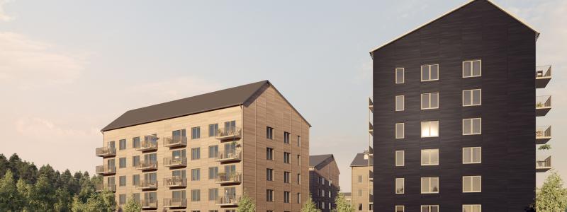Husen ligger på gränsen mellan centrala Skellefteå och skog och rekreationsområden och är uppförda av prefabricerade volymelement i trä.