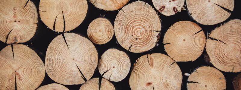 Foto: Alexandre Jaquetoni/Unsplash