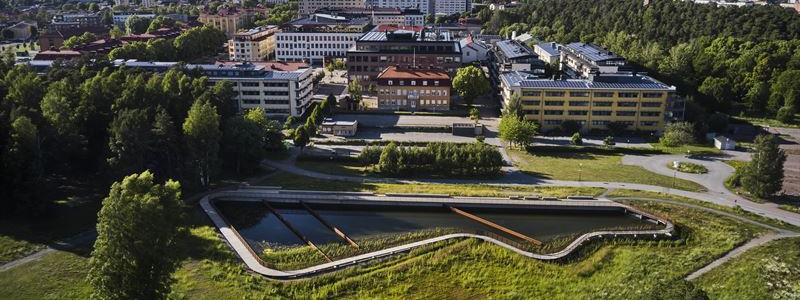 Dagvattendamm. Foto: Måns Berg