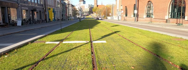 Ecoraster gräsarmering från BG Byggros har bland annat levererats till den danska staden Odense. På flera platser i stadskärnan har körbanorna för trafik minskats kraftigt på bredden för att ge plats för spårvagnens bankropp, som lagts ut som en grön gräsmatta.
