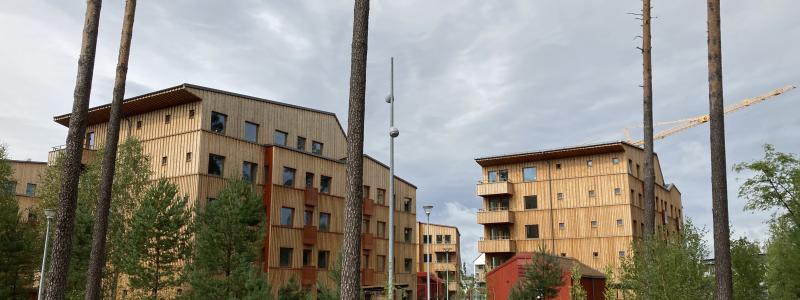 Bild: Växjö kommun.