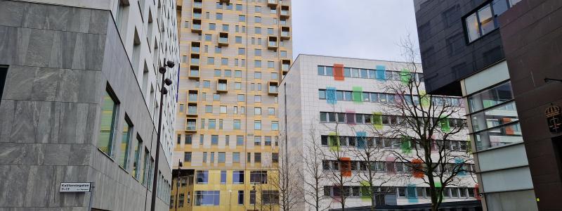 Foto: Navet