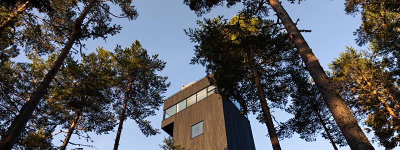 Dalarnas nya utsiktstorn, foto: Klas Sjöberg