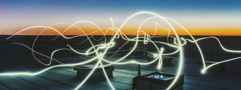 Foto: Federico Beccari/Unsplash