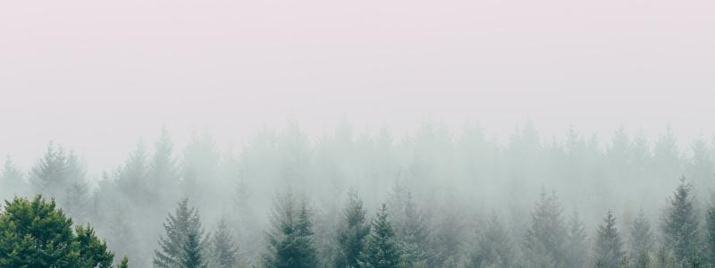 Foto: Filip Zrnzević/Unsplash