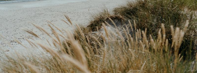 Foto: Jonas Jacobsson / Unsplash
