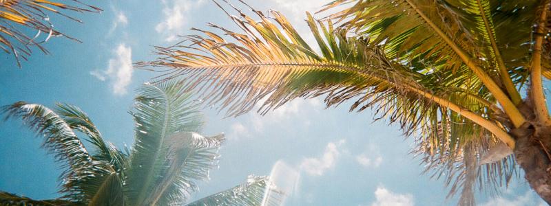 Foto:  Jorge Vasconez / Unsplash