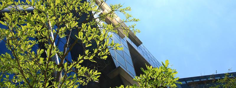 IVL Svenska Miljöinstitutet lanserar en ny webbaserad version av Byggsektorns Miljöberäkningsplattform. Pressbild: IVL Svenska Miljöinstitutet