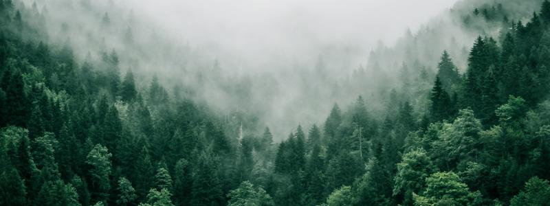 Foto: Marita Kavelashvili/Unsplash