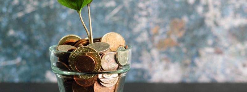 Foto: Micheile/Unsplash