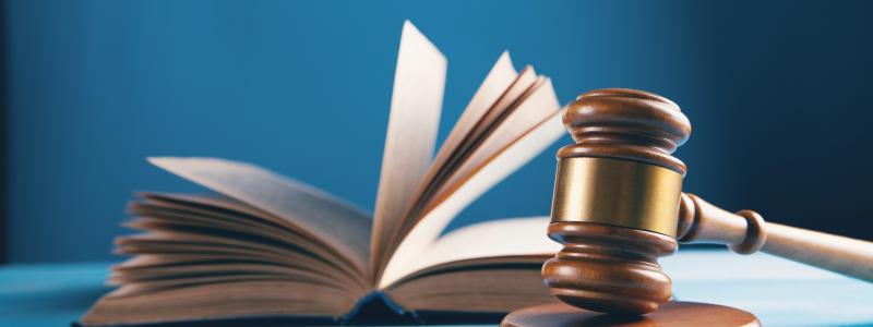 Naturskyddsföreningen har begärt rättsprövning av regeringens beslut att tillåta bygget av motortrafikleden Tvärförbindelse Södertörn i södra Stockholm. Foto: sasun bughdaryan /Unsplash