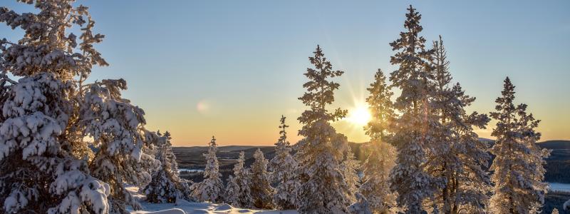 Foto: Niklas Jonasson/Unsplash