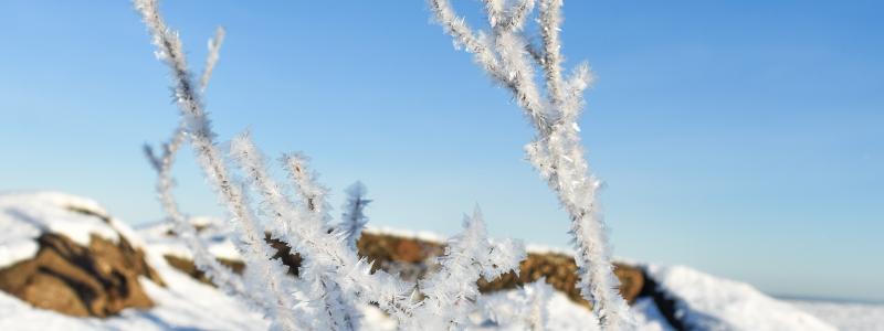 Foto: Niklas Jonasson/Unsplash