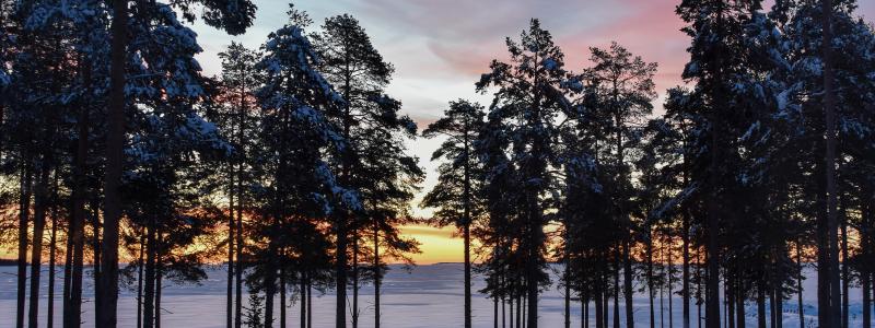 Foto: Niklas Jonasson/Unsplash