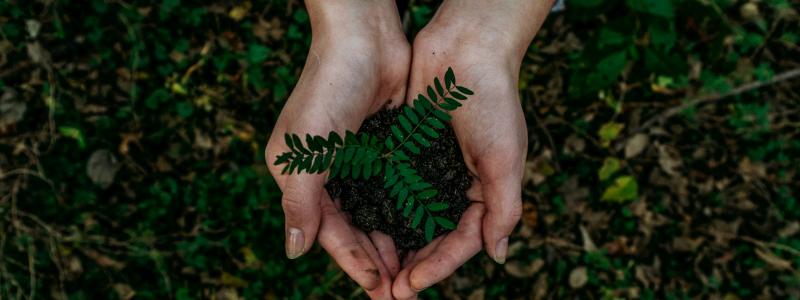 Foto:  Noah Buscher / Unsplash