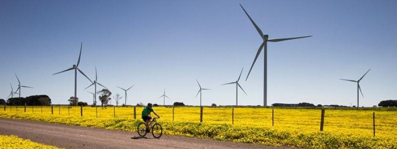 Det tyska företaget Notus Energy genomför ett nytt projekt för en vindkraftpark på 300 MW i Odessa-regionen, varav det första skedet kommer att vara på 120 MW, enligt företagets toppchef vid energimässan URC2024. Den första fasen av vindturbinerna är inte färdigställda, men företaget gör allt för att så snart som möjligt kunna starta projektet.