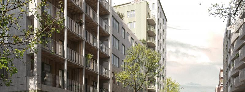 Söderslakten Boskapsvägen. Foto: Fojab