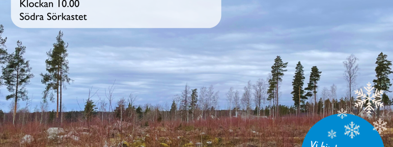 Foto: Kristinehamns kommun