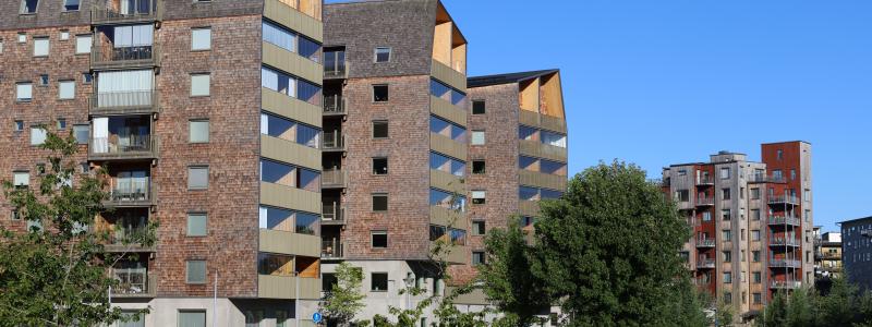Trähus. Pressbild: Växjö Linnæus Science Park AB