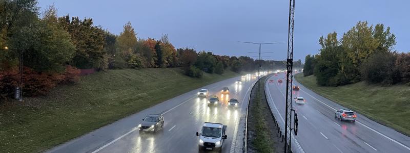 Man får ofta anpassa styrningen och åtgärder utifrån platsens specifika förutsättningar och artförekomster eftersom det i dagsläget saknas standarder för minskad ekologisk påverkan. Foto: Synoptik