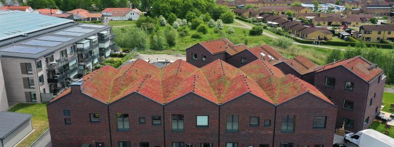 Kvarteret Sockergränden består av ett fristående LSS-boende och fyra radhus. Foto: Mikaela Bjarve/Emrahus.