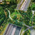 Rapporten “Biodiversity in practice: From loss to gain” är den tredje delen i Swecos Urban Insight-serie om biologisk mångfald. Foto: GettyImages