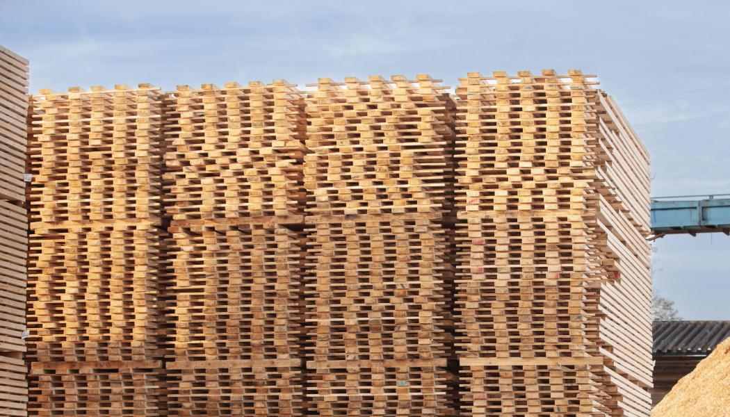 Foto: Fredrik Hjerling