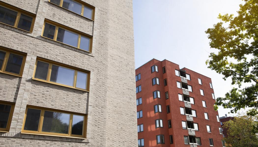 Studentbostadsområdet Lappkärrsberget i Stockholm. Foto: Stockholms studentbostäder