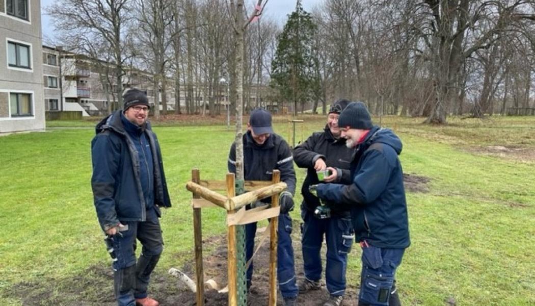 Pressbild: GotlandsHem