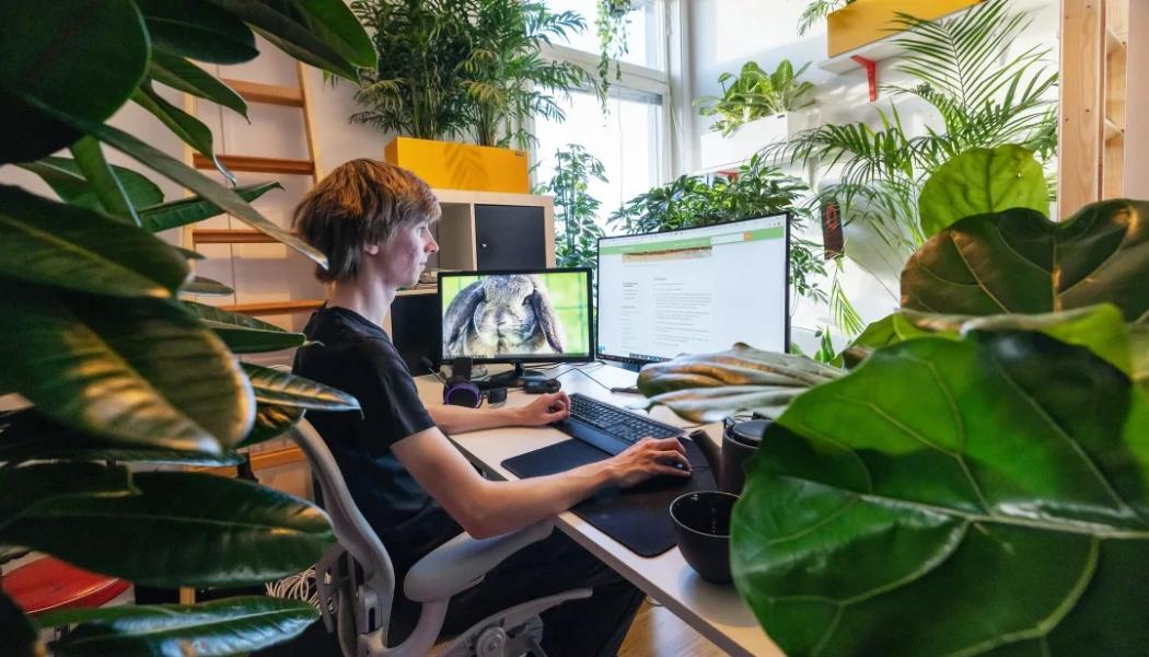I HSB Living Lab testar de boende om grönska kan öka välbefinnandet. Foto: Paul Björkman