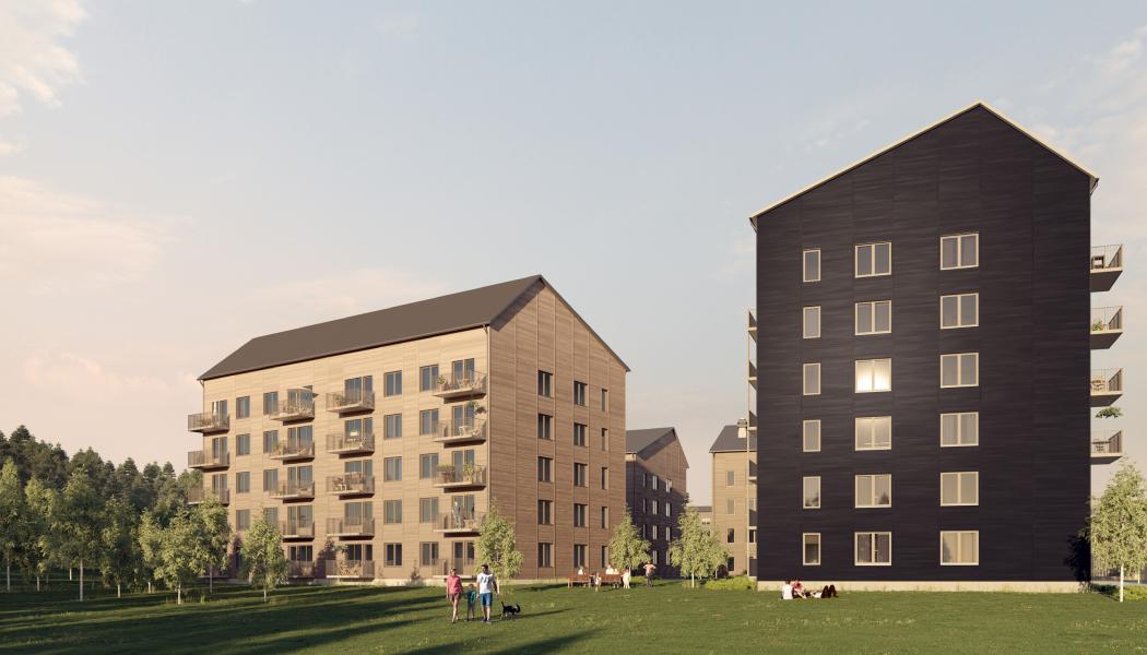 Husen ligger på gränsen mellan centrala Skellefteå och skog och rekreationsområden och är uppförda av prefabricerade volymelement i trä.