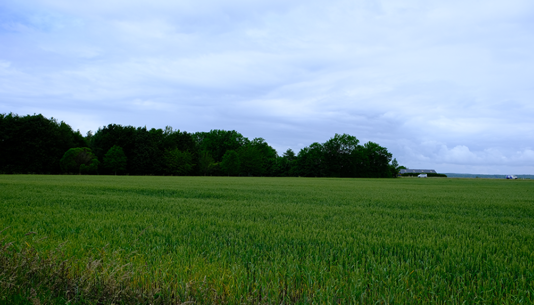 Foto: Ängelholmslokaler