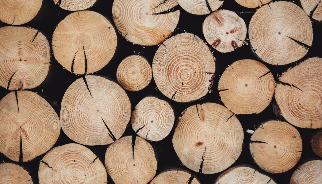 Foto: Alexandre Jaquetoni/Unsplash