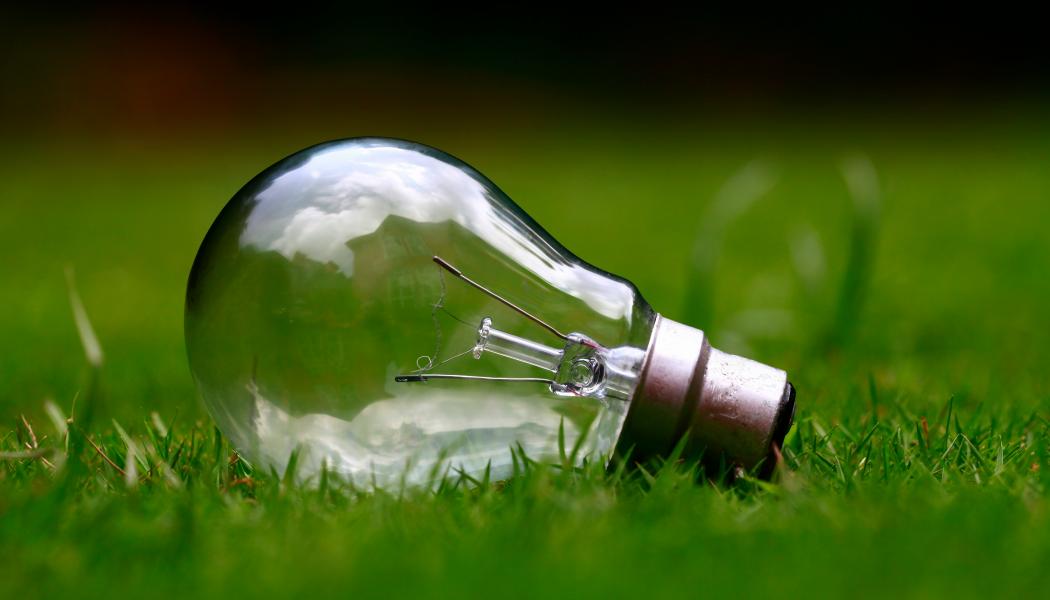 Glödlampa på gräsmatta. Foto:  Ashes Sitoula / Unsplash