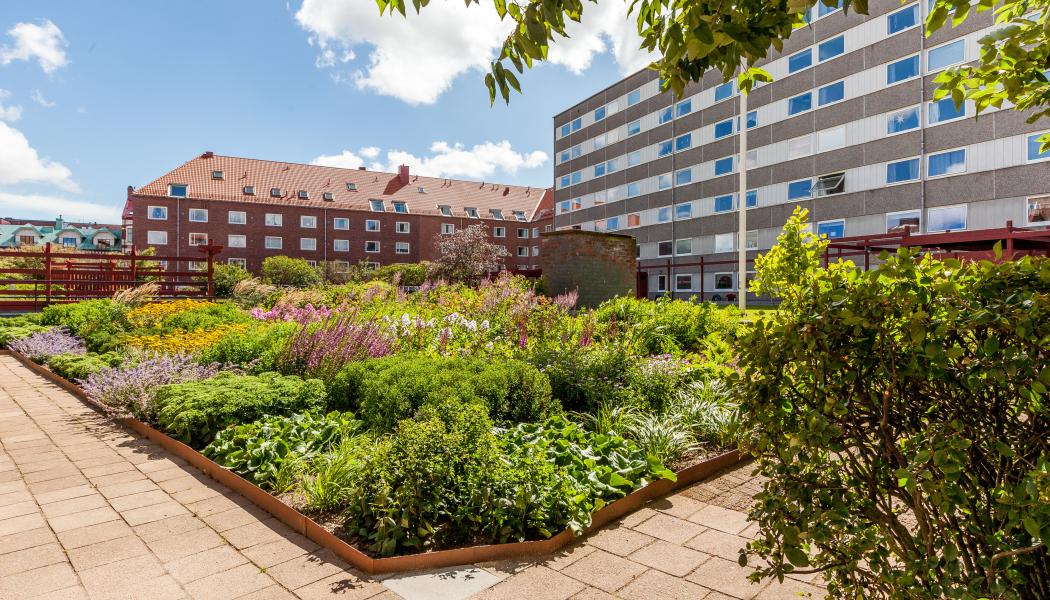 Kvarteret Biet i halmstad. Foto: Willhem