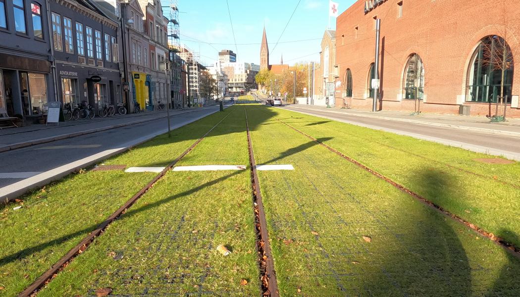 Ecoraster gräsarmering från BG Byggros har bland annat levererats till den danska staden Odense. På flera platser i stadskärnan har körbanorna för trafik minskats kraftigt på bredden för att ge plats för spårvagnens bankropp, som lagts ut som en grön gräsmatta.