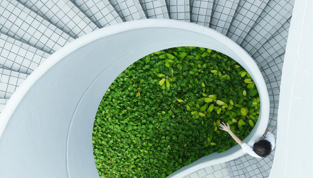 Foto: Danist Soh / Unsplash 