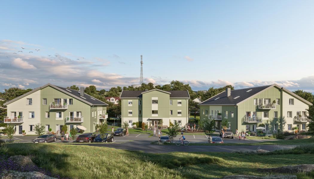 Björkdungen, Björkö. Foto: Tornstaden