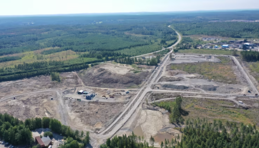 Biokol har tillverkats av projektets stubbar (avfall) som sedan återplanterats i trädgropar under planteringen. Fotograf: Martin Lundholm.
