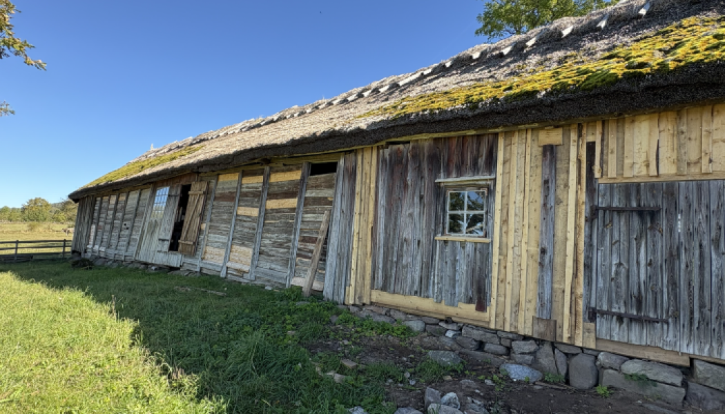 Timmermansarbete Heljesgården, Västergötlands museum. Fotograf/Källa: Maria Åhgren / Riksantikvarieämbetet (CC BY)