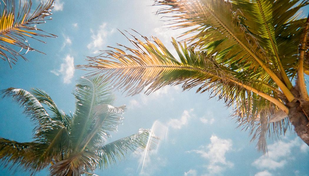 Foto:  Jorge Vasconez / Unsplash 