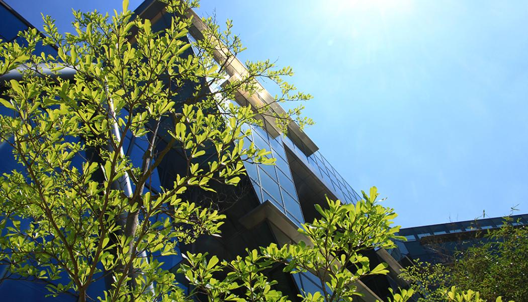 IVL Svenska Miljöinstitutet lanserar en ny webbaserad version av Byggsektorns Miljöberäkningsplattform. Pressbild: IVL Svenska Miljöinstitutet