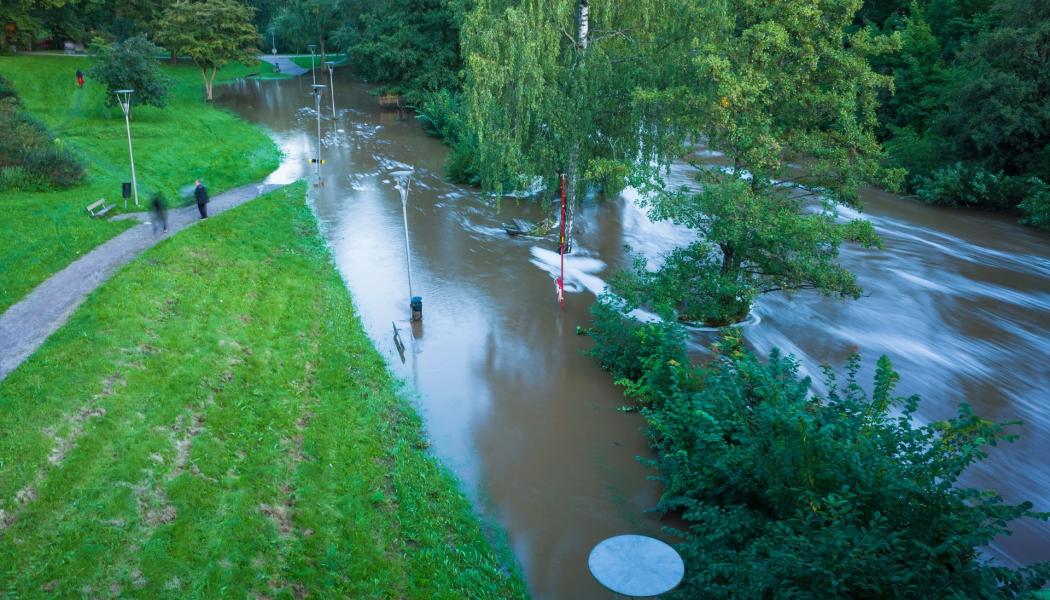 Nederbörden ökar med upp till 30 procent i delar av Norden. Foto: Grundfos