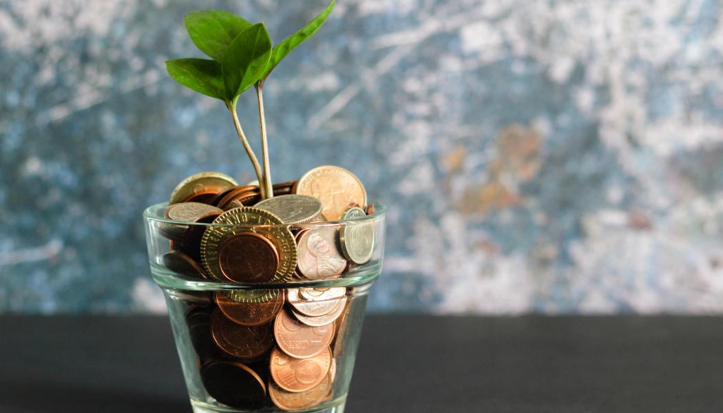 Foto: Micheile/Unsplash